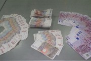 Na Horgošu sprečen nelegalan unos švedskih kruna i evra