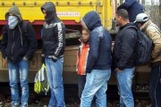 Sprečeno krijumčarenje 21 migranta kod Bačkih Vinograda