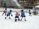 Održan "Spartans 2014" - IV međunarodni turnir u hokeju na ledu