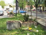 Uništene sadnice u tek uređenim žardinjerama