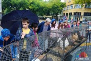 Sajam sitnih životinja povodom Svetskog dana životinja
