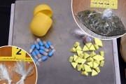 U stanovima uhapšenog pronađeni amfetamin, marihuana, ekstazi i haluciogene gljive