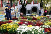 Jesenji festival cveća "Garden flora" na Trgu Republike