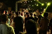 Osmi "Youth Jazz & Rock Festival" od 22. do 24. avgusta na Paliću
