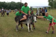 Jubilarna, 40. "Trka magaraca" u nedelju u Bačkim Vinogradima