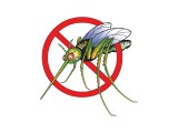 Prskanje komaraca od 27. maja