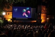 Sutra počinje Festival evropskog filma Palić