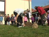 Ozelenjeno dvorište vrtića "Sanda Marjanović"