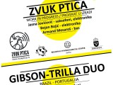 Jazziré 2013: Večeras "Zvuk ptica" i "Gibson - Trilla duo"