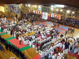 14. karate Super Enpi kup