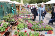 Izložba i vašar baštenskog cveća i sadnica od 19. do 22. aprila u centru grada