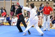 Karate: Sedam medalja mlađih takmičara "TAO" na Prvenstvu Vojvodine