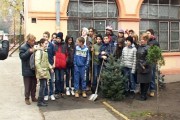 Učenici zasadili "Majino drvo" u znak sećanja na preminulu učiteljicu