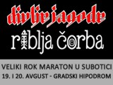 Divlje Jagode i Riblja čorba u Subotici: koncert na gradskom hipodromu