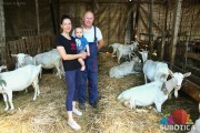 Mala farma koza ponos porodice Torda iz Višnjevca: "Sve više ljudi kupuje kozje mleko, sir i surutku"