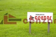 Palić