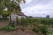 Kuća, Bački Vinogradi, 90m2 (ID: 117309) | Nekretnine Subotica