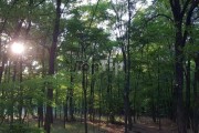 Kuća, Makova Sedmica, 95m2 (ID: 117378) | Nekretnine Subotica