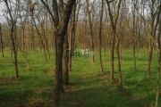 Kuća, Makova Sedmica, 95m2 (ID: 117378) | Nekretnine Subotica