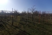 Kuća, Stari Žednik, 308m2 (ID: 99668) | Nekretnine Subotica