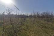 Kuća, Stari Žednik, 308m2 (ID: 103682) | Nekretnine Subotica