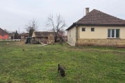 Novi Žednik