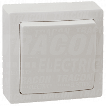 Jednopolni prekidac na zid zidni prekidac10AX/250VAC.TFK101