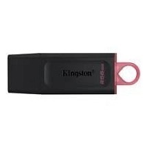 KINGSTON USB FLEŠ DTX-256GB 256GB USB3.2 GEN1