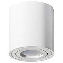 Plafonska lampa valjak okretni GU10 84mm bela IP20