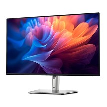 27 inch P2725HE 100Hz USB-C Professional IPS monitor