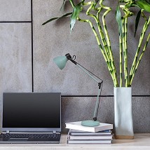 STONA RADNA LAMPA1XE14 CARTER 6409 RABALUX