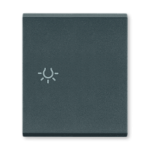 6590.A Taster sklopka za svetlo antracit MODE