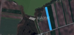 Palić