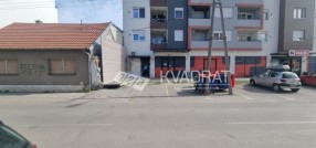 Radijalac
