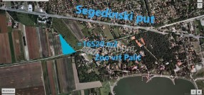Palić