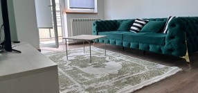 Arsenija Čarnojevića 12