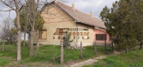 Novi Žednik