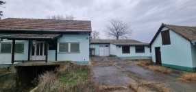Zorka