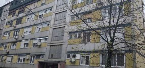 Radijalac
