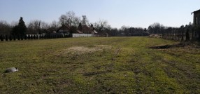 Palić