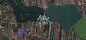 Aleksandrovi salaši