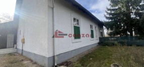Palić