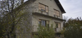 Novi Žednik