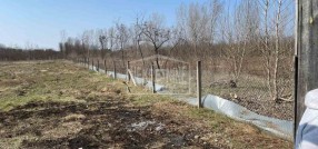 Kelebija