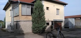 Bački Vinogradi