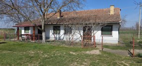 Muškatla