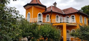 Vlade Ćetkovića
