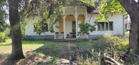 Zelengorska