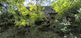 Palić