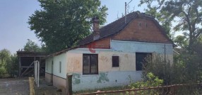 Bački Vinogradi